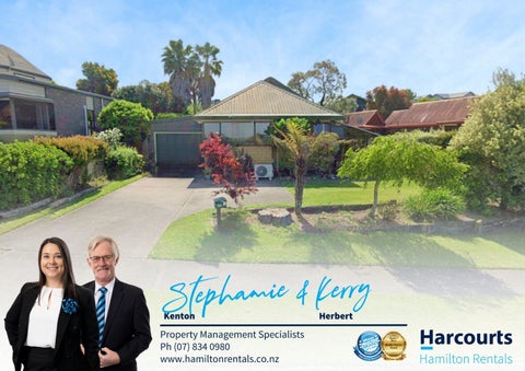 136 Delamare Road, Pukete, Hamilton