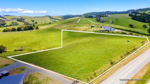 219 Tapu Bush Road, Whangaripo, Wellsford