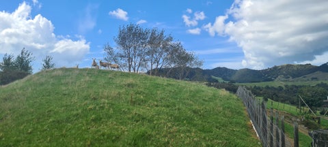 1412 State Highway 10, Totara North, Kaeo