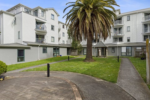 D11/13 Palm Grove, Berhampore, Wellington