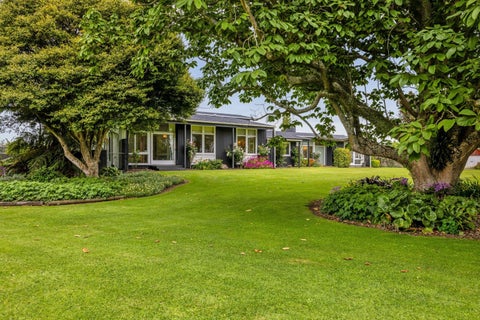 41 Suther Street, Waverley, Waverley