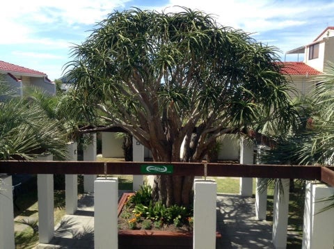 C/3 Fourth Avenue, Waiheke Island, Auckland