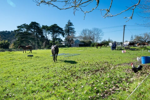 290 Henderson Valley Road, Henderson Valley, Auckland