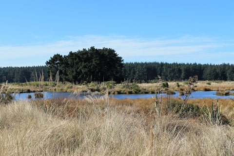 64 Te Kohanga DR, Pegasus, Pegasus