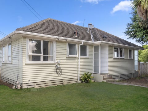 24 Mahoe Street, Levin, Levin
