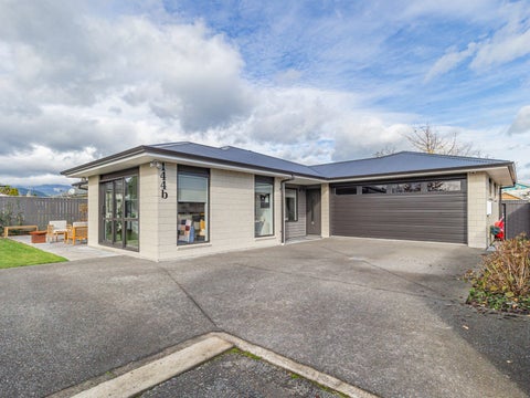 144B WINCHESTER ST, Levin, Levin