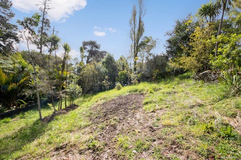 22C Barrys Road, Glendene, Auckland