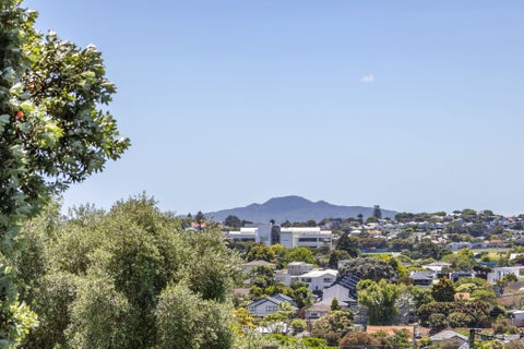 4/17A Kawau Road, Greenlane, Auckland