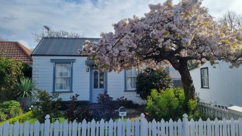 147A Holly Road, St Albans, Christchurch