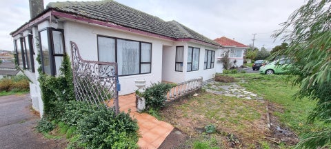 1518 Dominion Extension, MOUNT ROSKILL, AUCKLAND