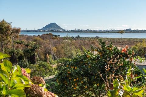 124 Matapihi Station Road, MATAPIHI, MOUNT MAUNGANUI