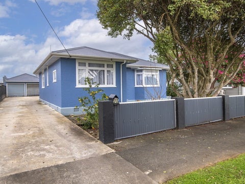 20 Wilton Street, Levin, Levin