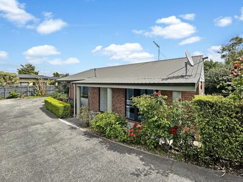 602A Ferguson Street, Terrace End, Palmerston North