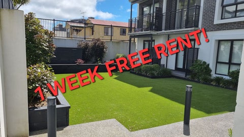 101/2 Colombo Street, Newtown, Wellington