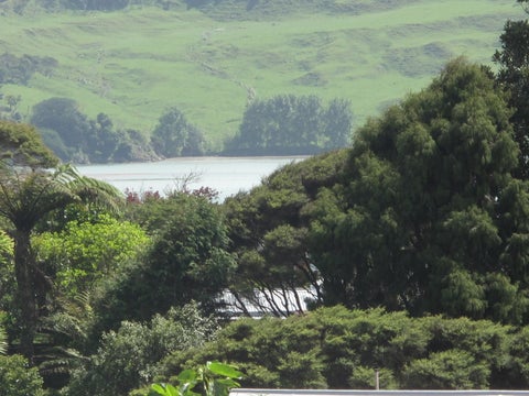2 Snowden Place, Raglan, Raglan
