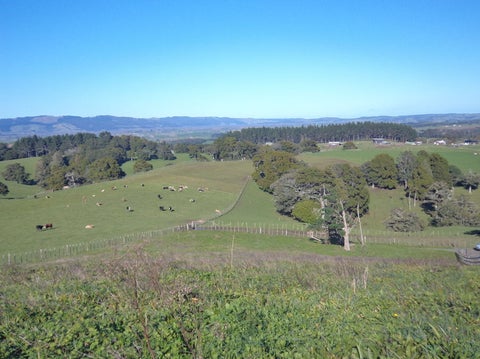 215B Bald Hill Road, Waiuku, Waiuku