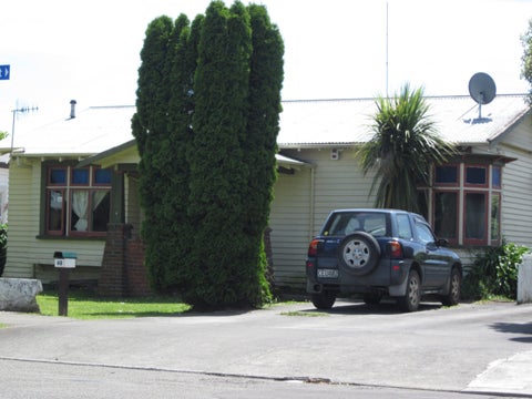 49 Limbrick Street, Terrace End, Palmerston North
