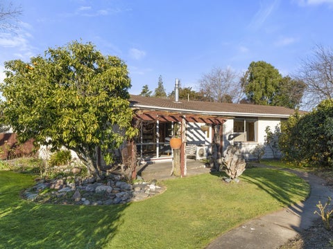 51 Leefield Street, Blenheim