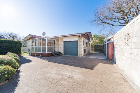 99 Roy Street, Palmerston North, Palmerston North