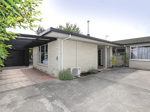 2/704 Buller ST, Akina, Hastings