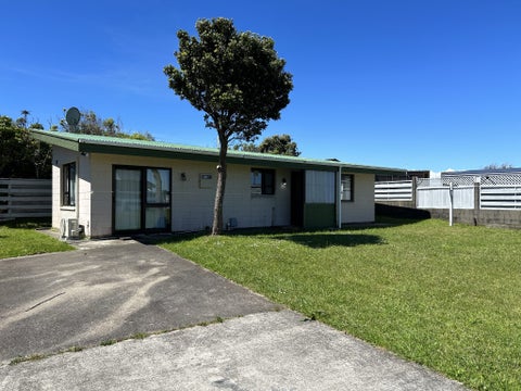 165 Mitchell Street, Brooklyn, Wellington