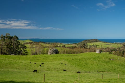 196B Ocean Beach Road, Whangarei