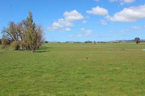 13 Farm Road, Waipukurau, Waipukurau
