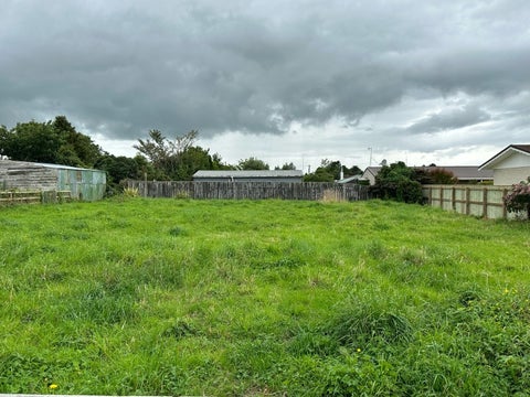 54 Fergusson Street, Woodville