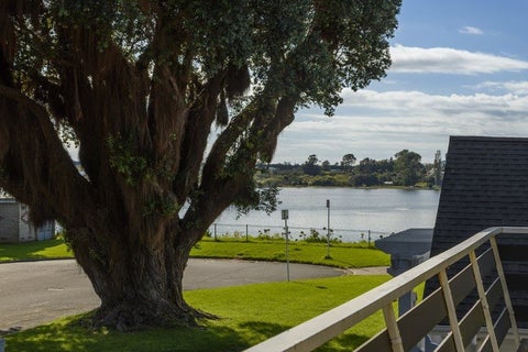10 Second Avenue, Tauranga, Tauranga