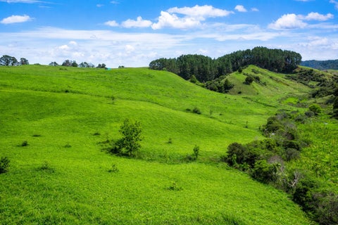 334C Komokoriki Hill Road, Makarau, Warkworth