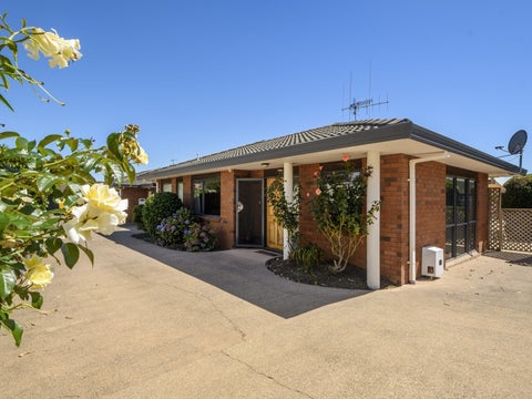 725C Cameron Road, Tauranga South, Tauranga