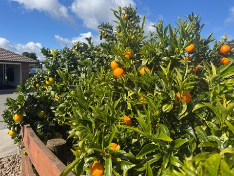 38D Kaipara Lake Road, South Head, Helensville