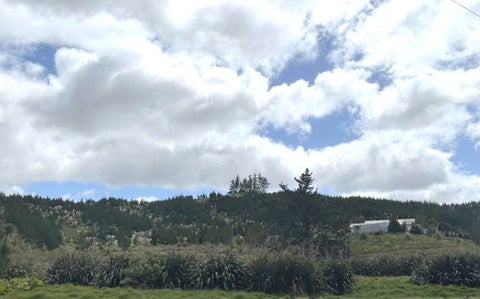 498 Pekerau Road, Lake Ohia, Kaitaia