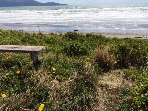131 Tutere Street, Waikanae Beach, Waikanae