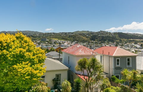 5/33 Hiropi Street, Newtown, Wellington