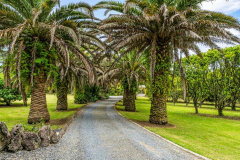 1322 State Highway 10, Kerikeri, Kerikeri