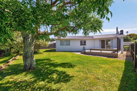 33 Leicester Street, Terrace End, Palmerston North