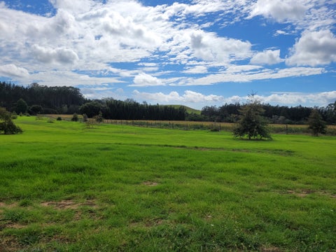 0 Blue Gum Lane, Kerikeri, Kerikeri