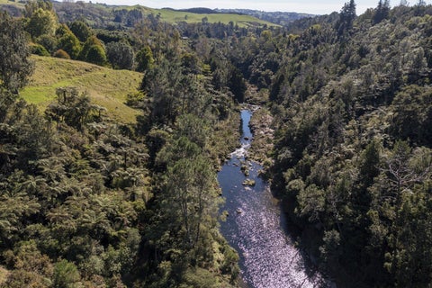 1525 State Highway 29, Lower Kaimai, Lower Kaimai