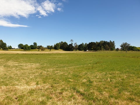 6 Elm Place, Waipukurau, Waipukurau