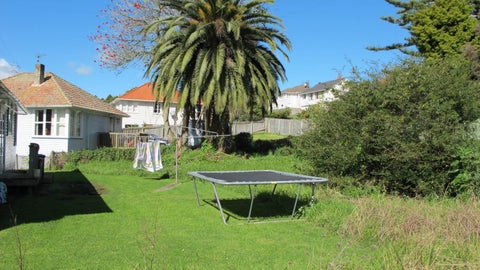 591A Richardson Road, Mount Roskill, Auckland