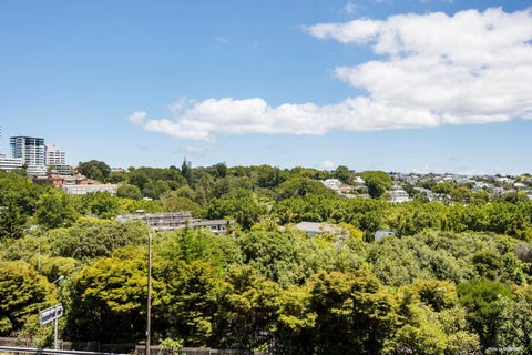 509/15 Union Street, Auckland Central, Auckland