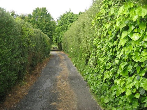94 Winters Road, Redwood, Christchurch