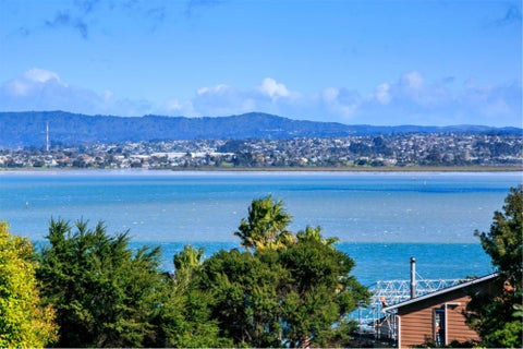 79 Hadfield Street, Beach Haven, Auckland