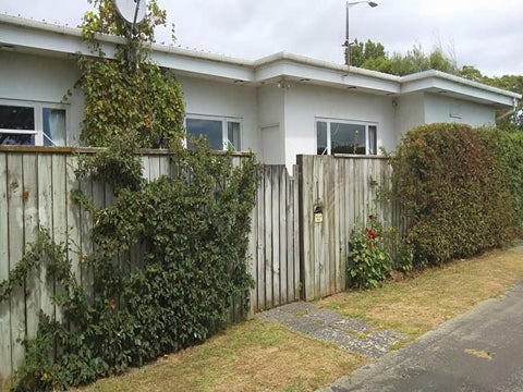 87 Guy Avenue, Takaro, Palmerston North