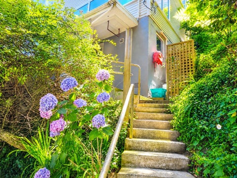 64 Salamanca Road, Kelburn, Wellington
