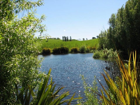 291 Ulysses Road, Ashhurst, Palmerston North