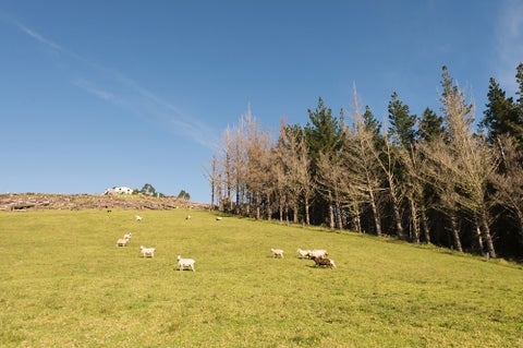 0 Lane Road, Russell, Russell