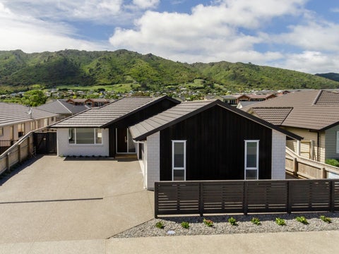 13 Tapuhikura Street, Waikanae