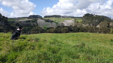 1056 Peak road, Helensville, Auckland